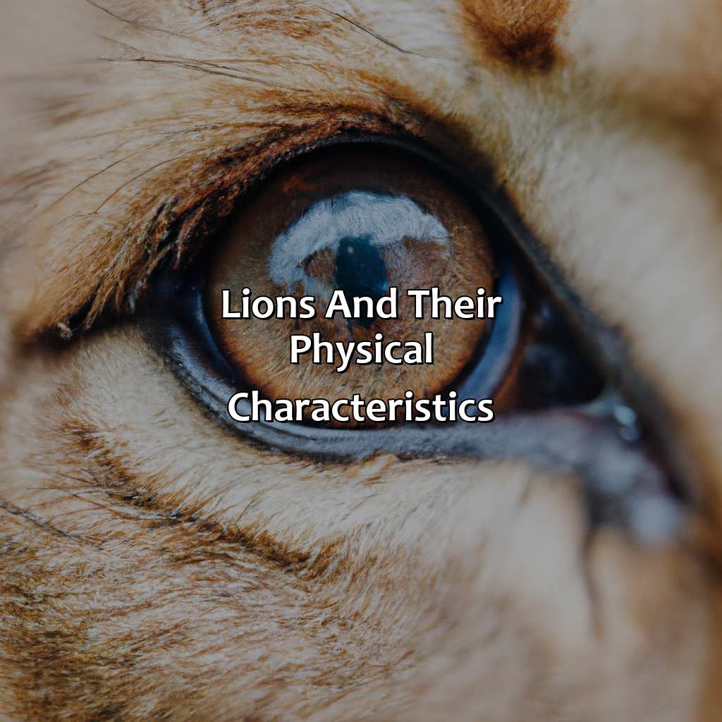 What Color Eyes Do Lions Have Colorscombo