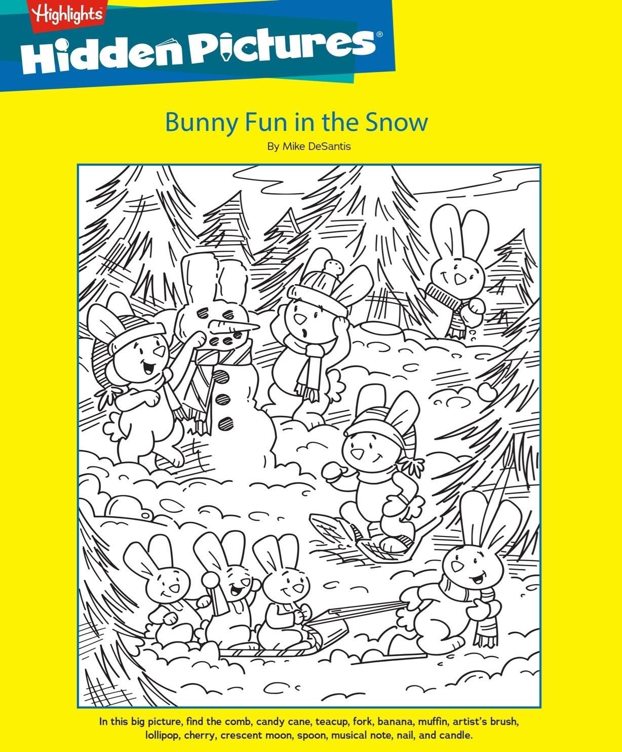 winter hidden pictures printables