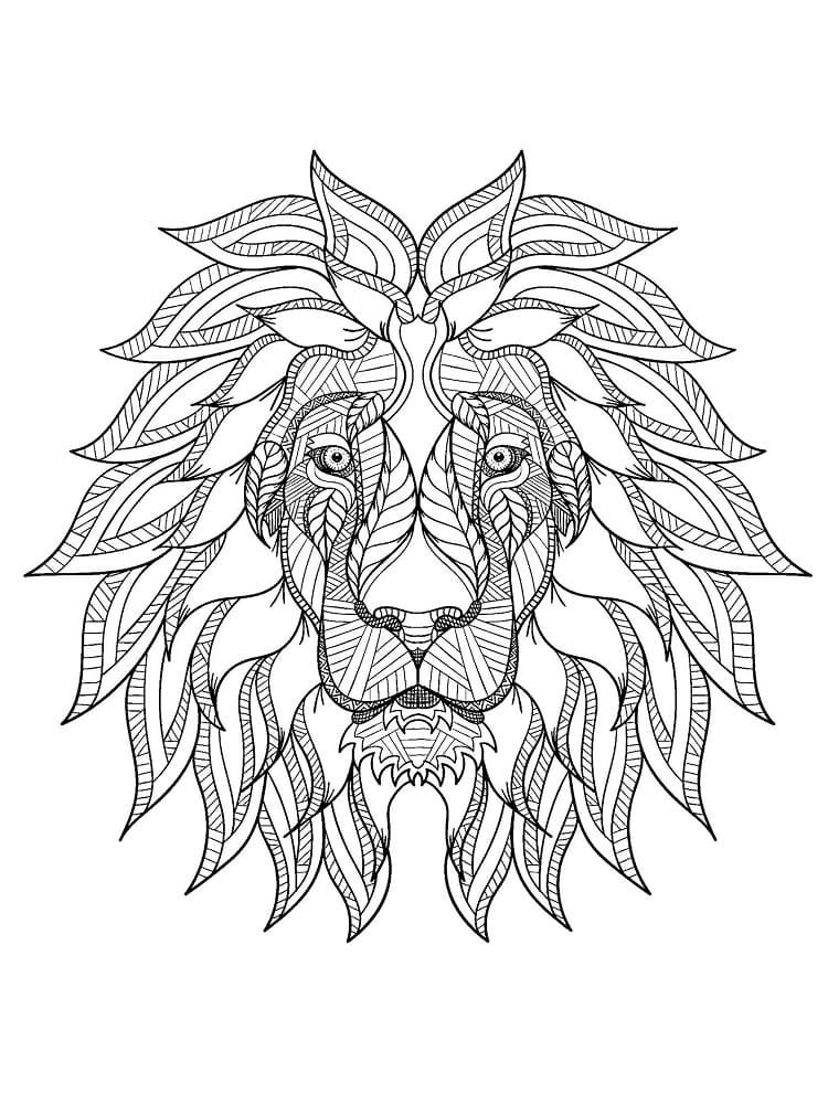Wonderful Lion Face