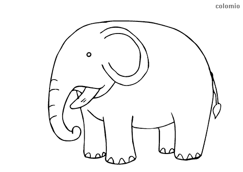 Zoo Animal Coloring Pages Printable