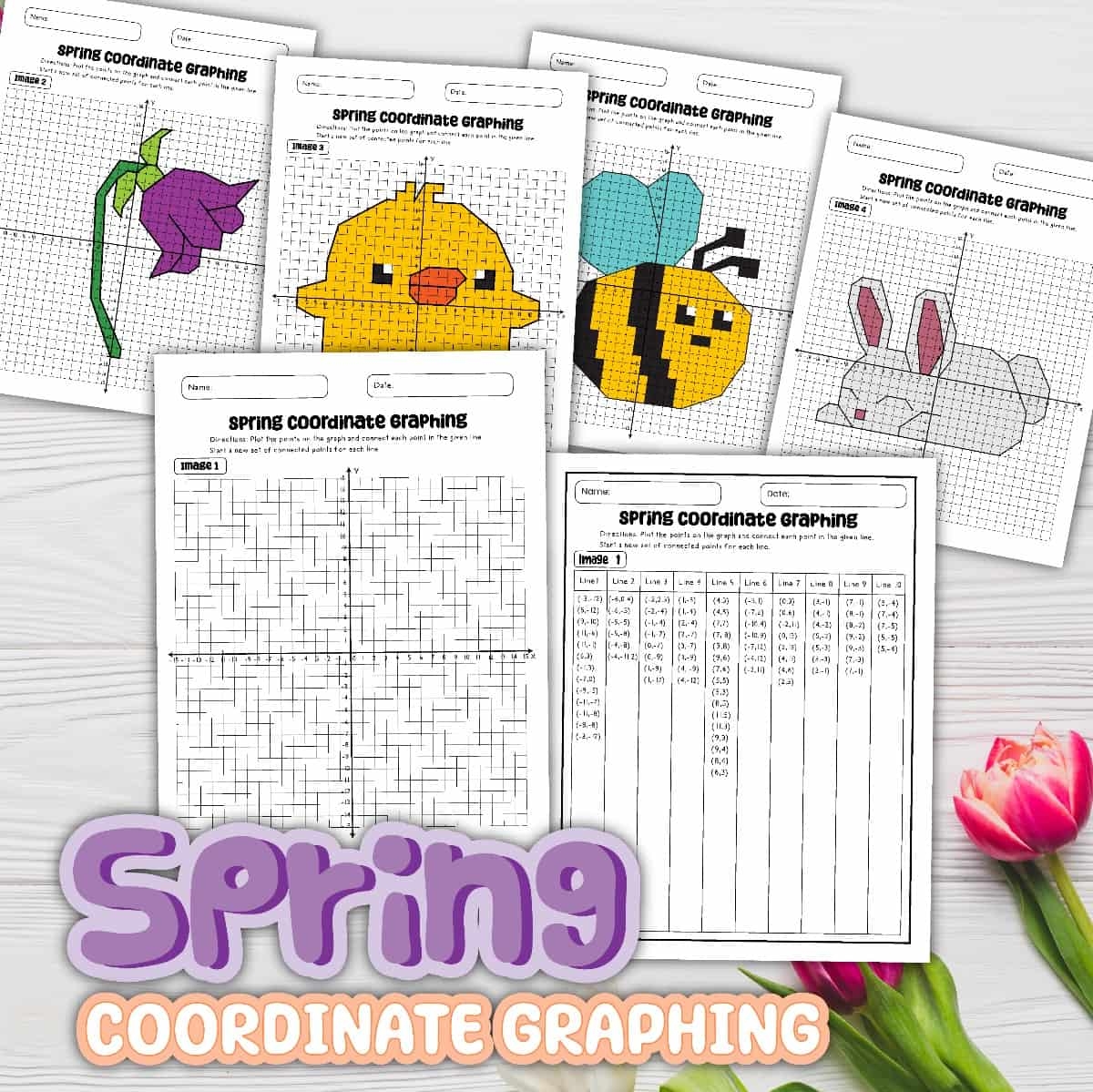 8 Free Spring Coordinate Graphing Worksheets Printable PDF With Answer Keys 